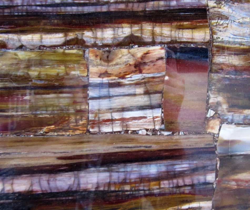 PETRIFIED WOOD GEMSTONE SLAB VIEW