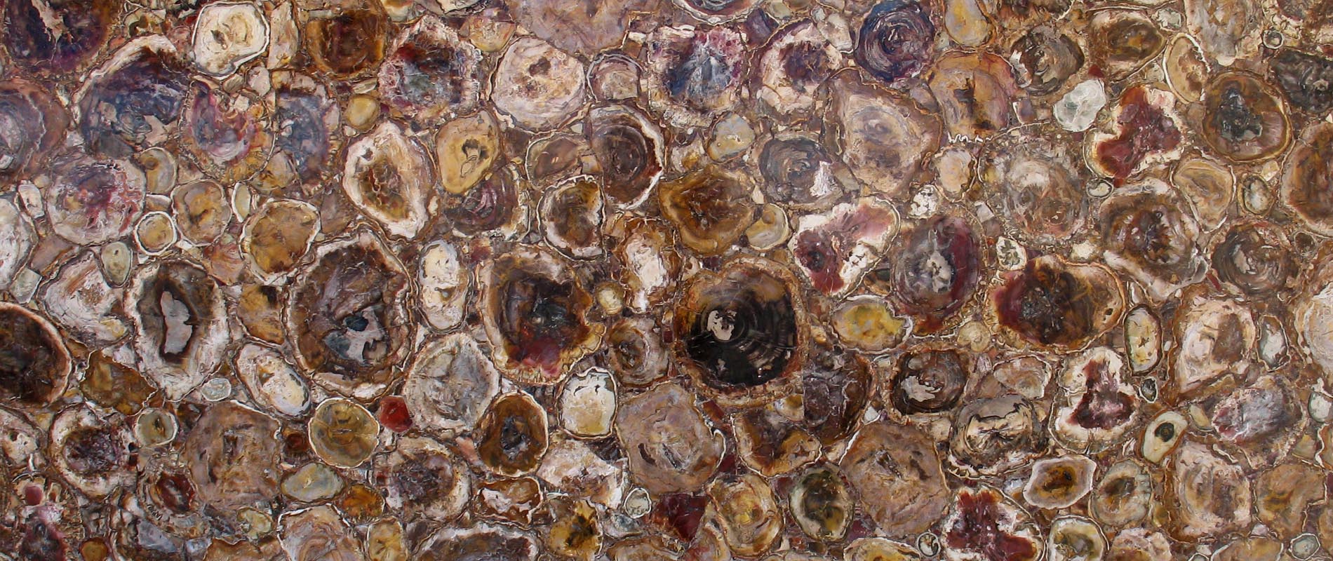 PETRIFIED WOOD SLAB SURFACE